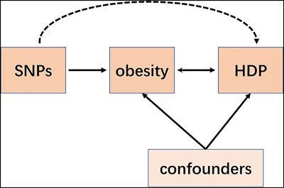 Genetically Predicted Obesity Causally Increased the Risk of Hypertension Disorders in Pregnancy